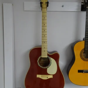 Acoustic guitar