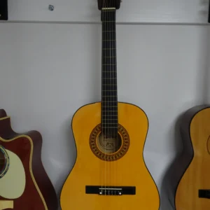 Cordoba Nylon String Guitar