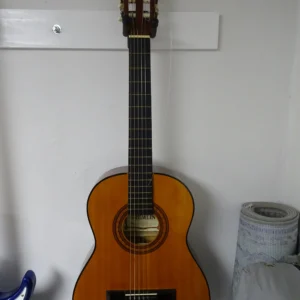 Nylon String Guitar (Gremlin)