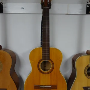 Nylon String Guitar 2