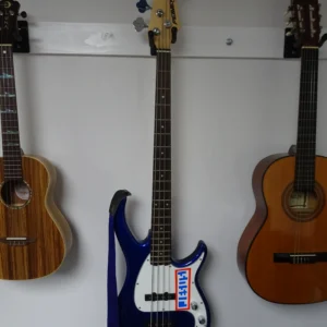 Peavey Electric Bass