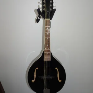 Rogue Mandolin