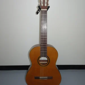 Nylon String Guitar
